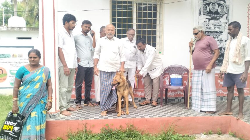 జైతవరంలో 50 సమకాలకు యాంటీ రేబిస్ టీకాలు